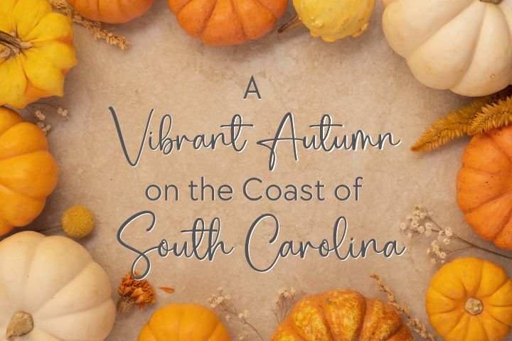 pumpkins lined outside of picture with words that say A Vibrant Autumn on the coast of South Carolina"